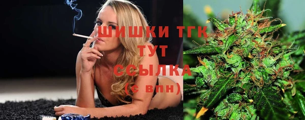 тгк Арсеньев