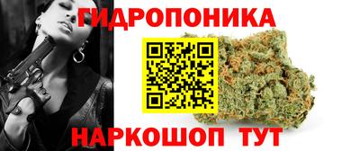 шишки Вязники