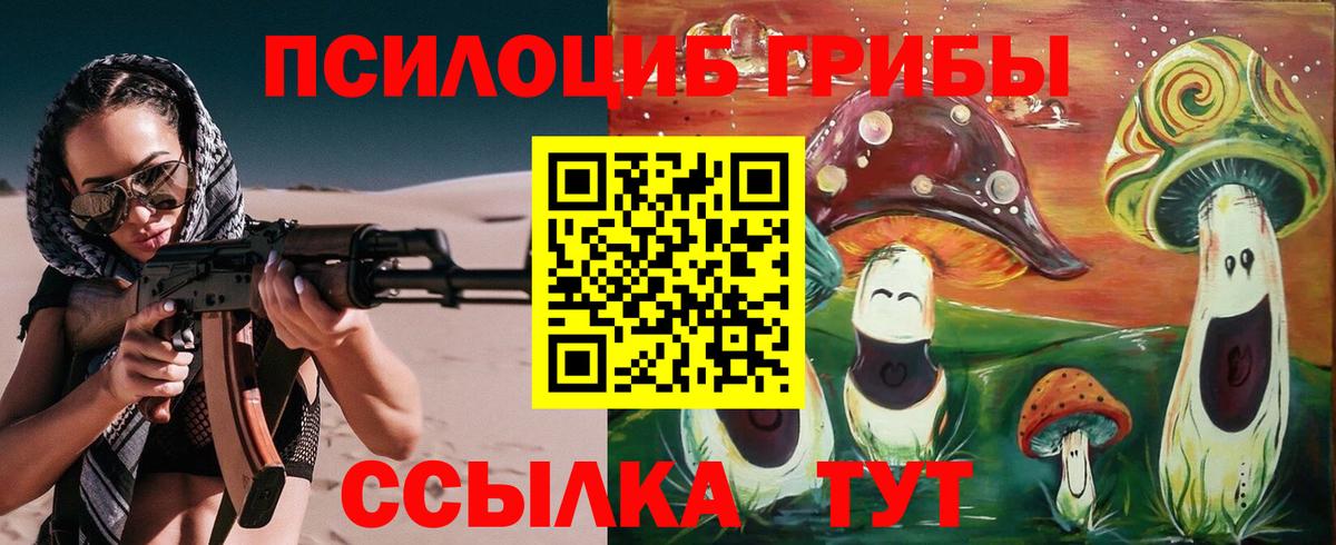 Галлюциногенные грибы Cubensis Кемерово