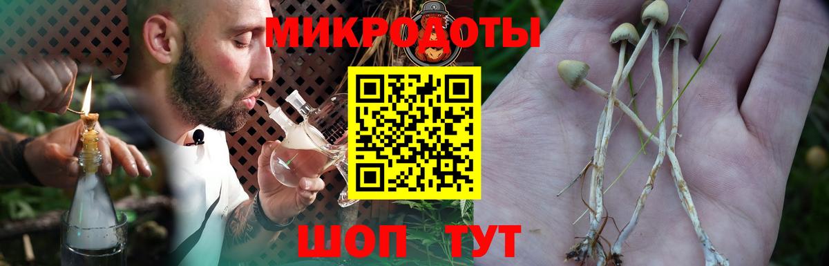 Кемерово  Галлюциногенные грибы мицелий  Псилоцибиновые грибы мухоморы  Вход с VPN 