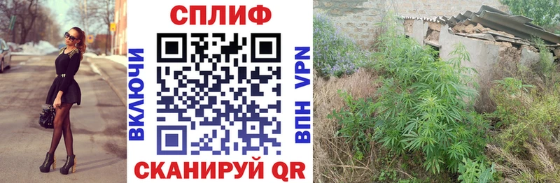 где можно купить наркотик  дарк нет формула  гидра онион  Конопля THC 21%  Кемерово 